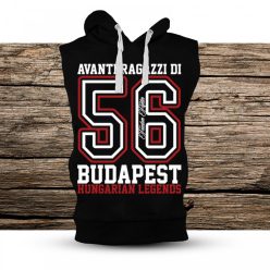 Avanti férfi kapucnis, belebújós mellény